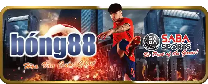 Chính sách cá cược có trách nhiệm g2807